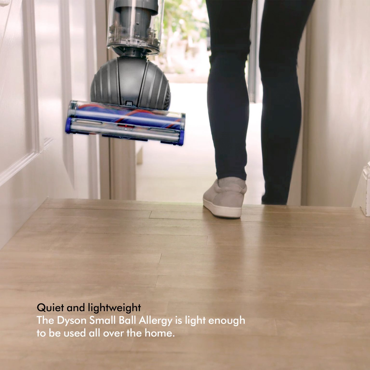 dyson small ball allergy price