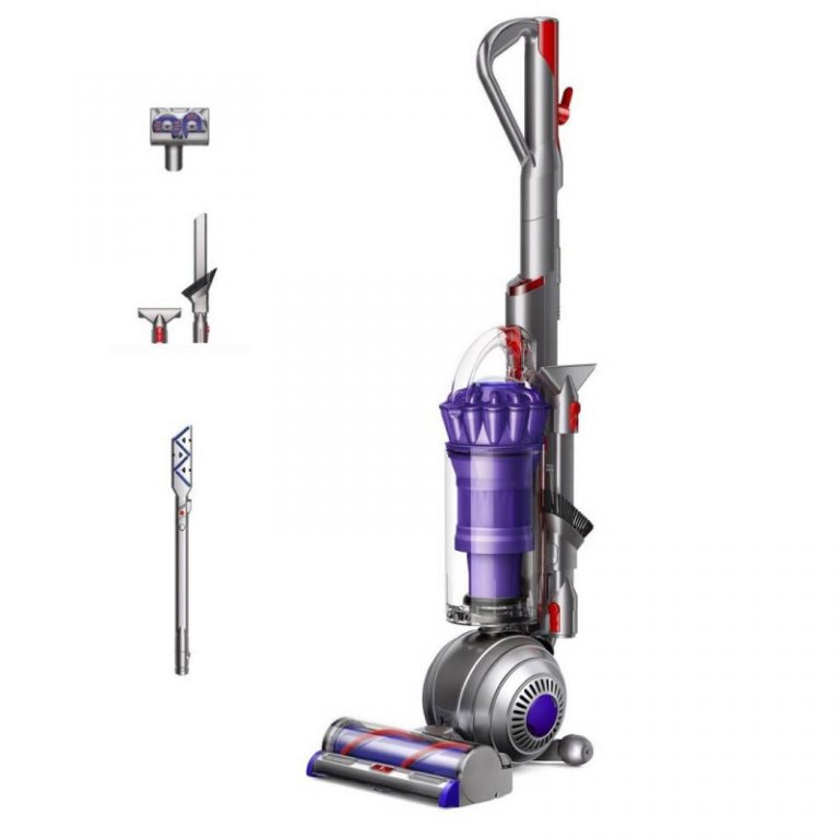 cheapest dyson ball animal 2